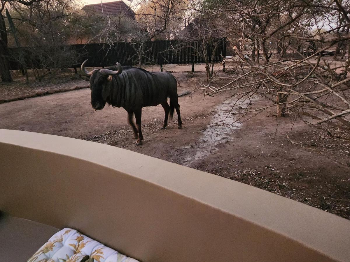 Kudus Crest Bush Retreat Appartement Marloth Park Buitenkant foto