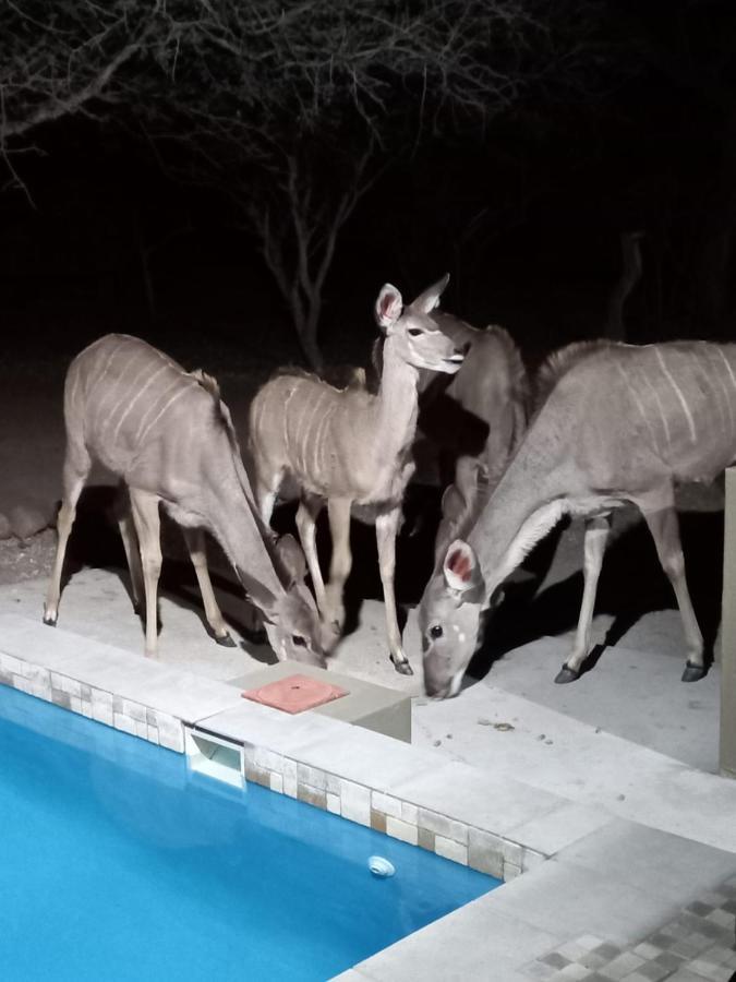 Kudus Crest Bush Retreat Appartement Marloth Park Buitenkant foto